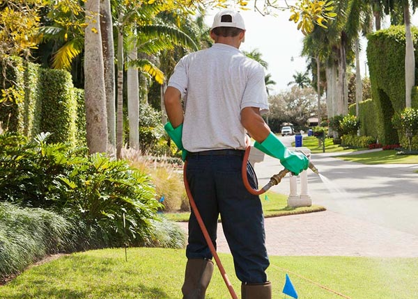 About Sunrise Beach MO Pest Control